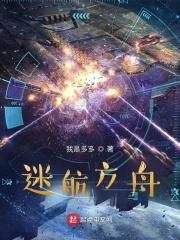 迷航的定义 迷航的定义