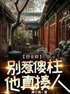 四合院傻柱大哥 四合院傻柱大哥