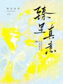 臻星科技有限公司 臻星科技有限公司