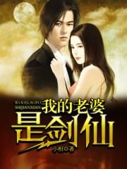 我的老婆是剑仙完本